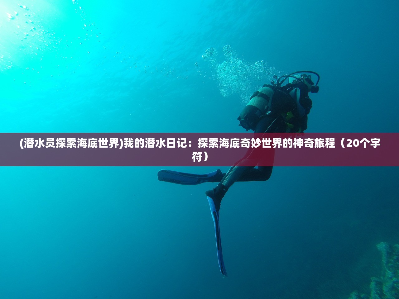 (潜水员探索海底世界)我的潜水日记：探索海底奇妙世界的神奇旅程（20个字符）