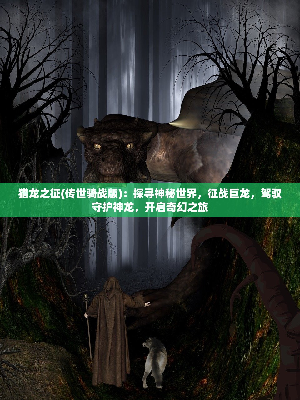 猎龙之征(传世骑战版)：探寻神秘世界，征战巨龙，驾驭守护神龙，开启奇幻之旅