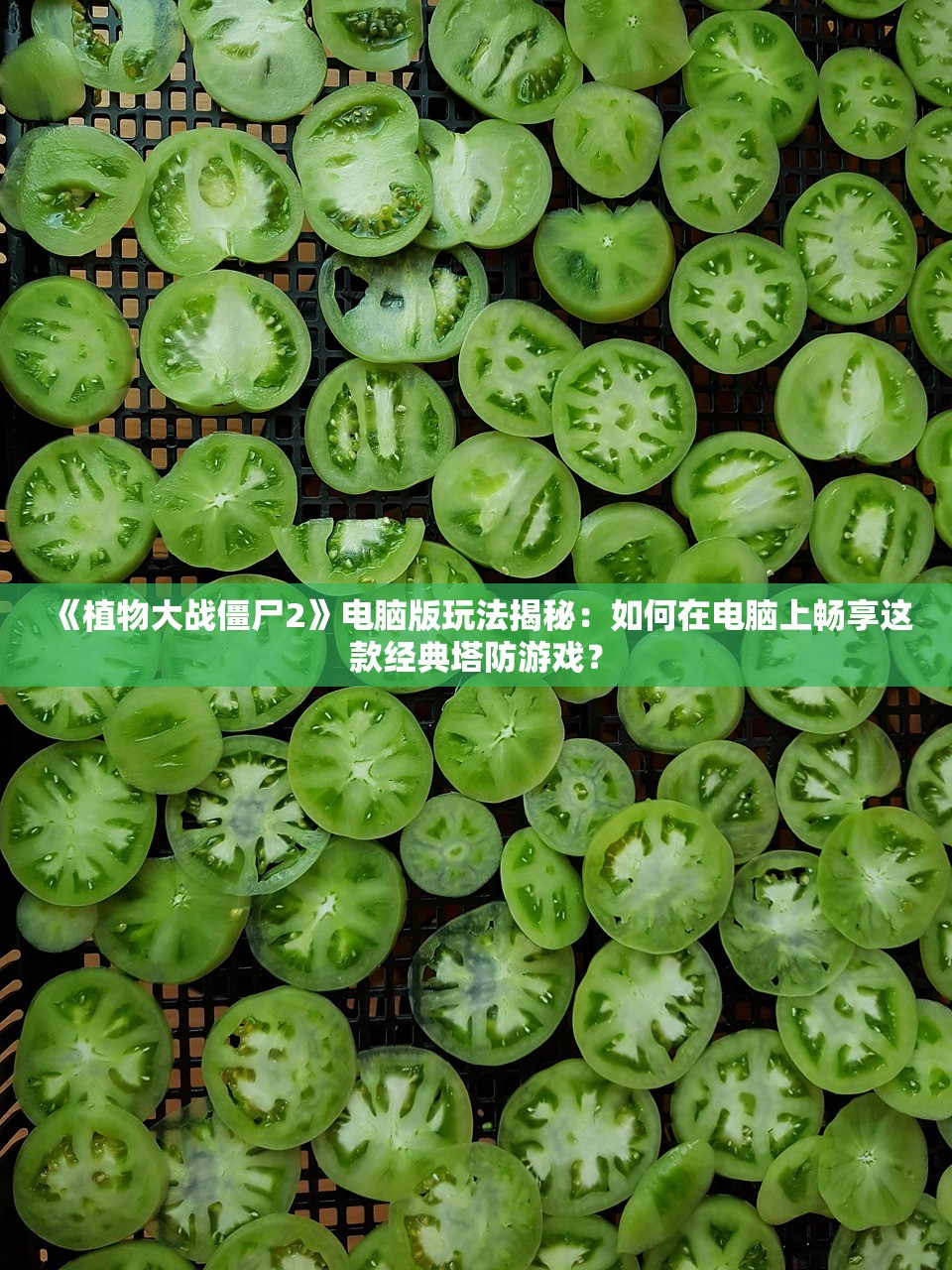 《植物大战僵尸2》电脑版玩法揭秘：如何在电脑上畅享这款经典塔防游戏？